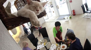 ���� � ������