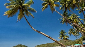 ��� ����� ������ ����� � ������?