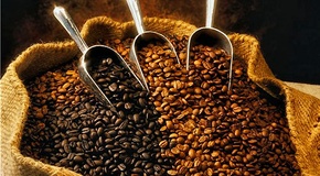 ���� �������������?