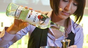    Bacardi